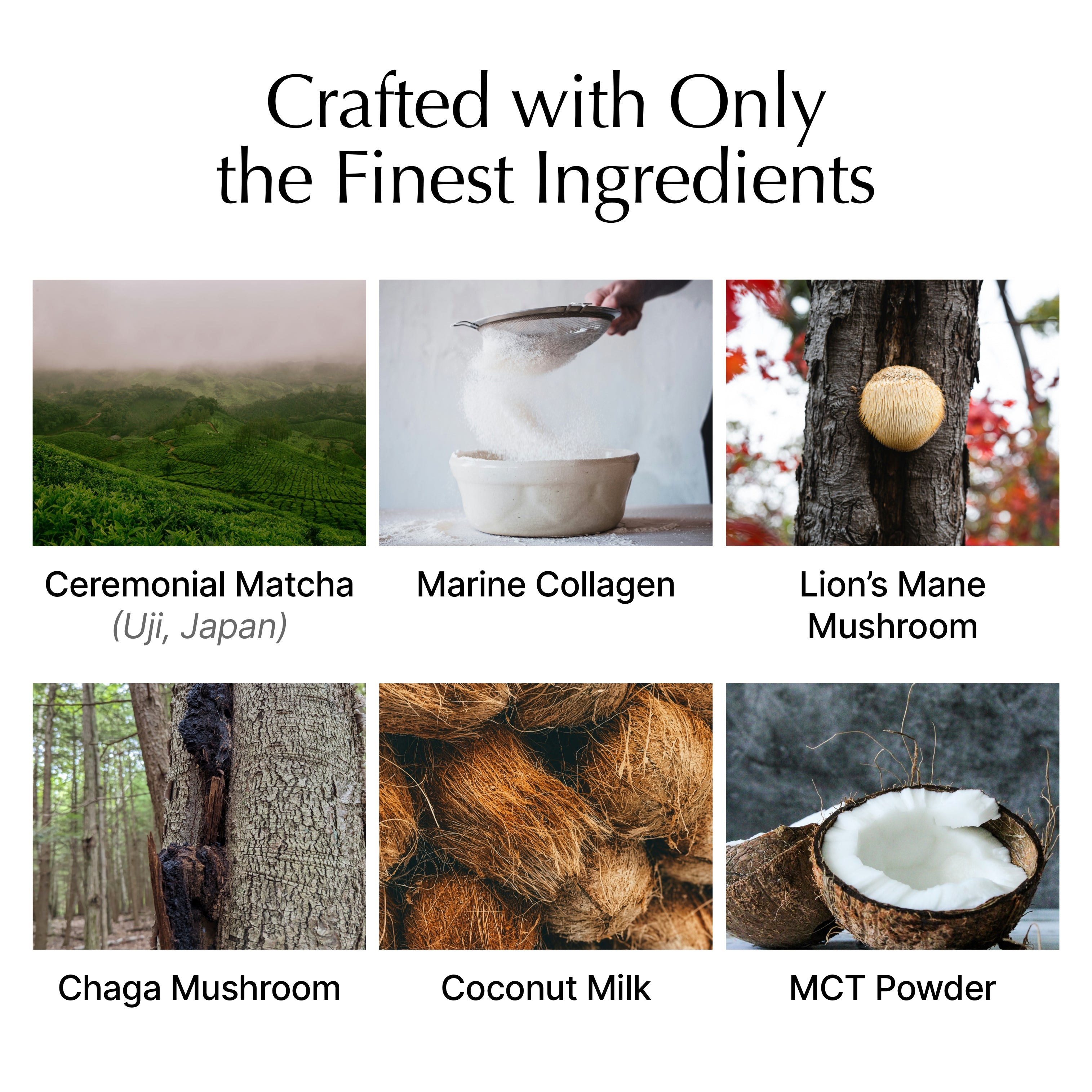 Matcha with Collagen