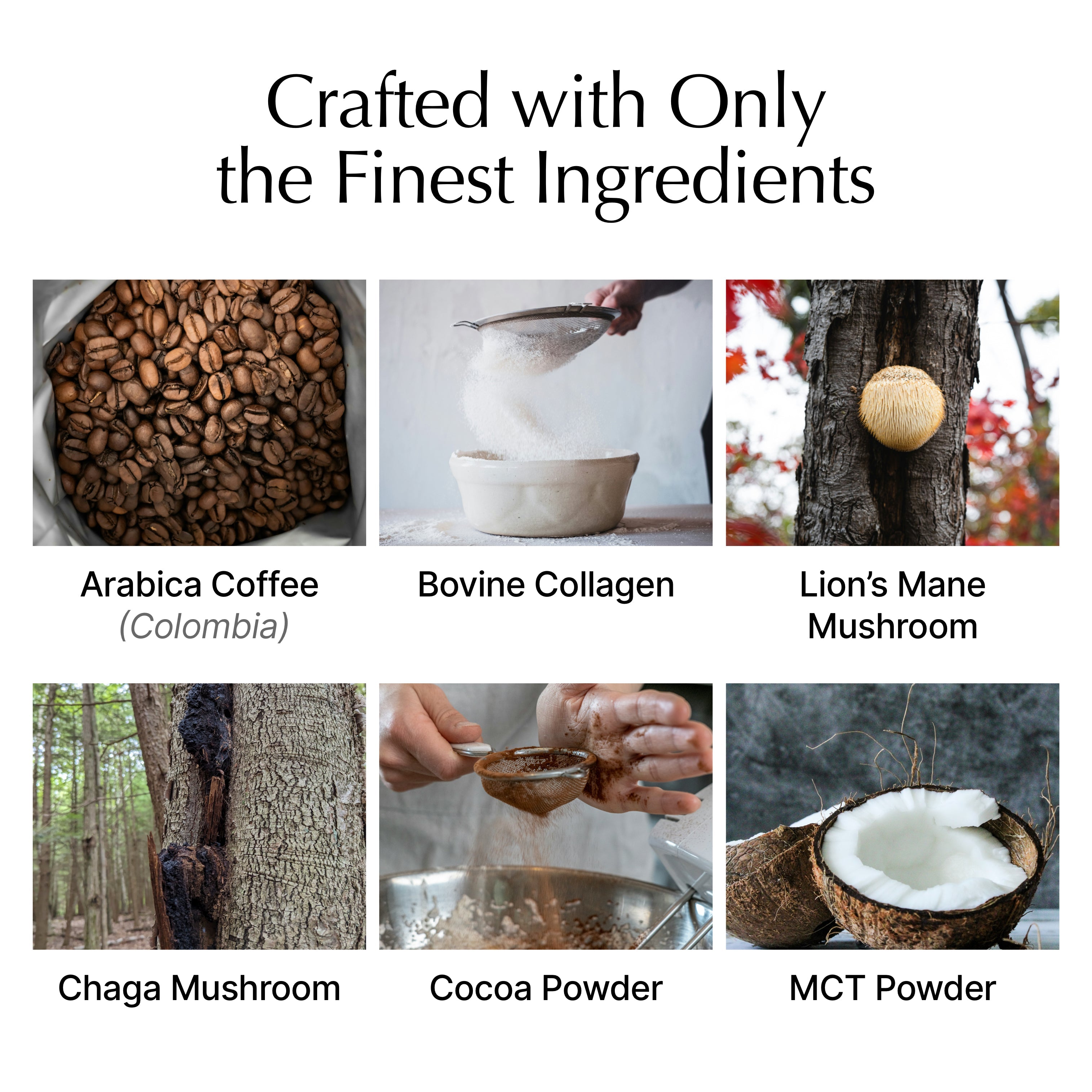 Mocha with Collagen